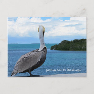 Groeten uit het briefkaart Florida Keys