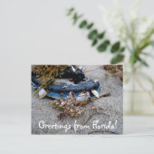 Groeten uit het Briefkaart van Florida (Staand voorkant)