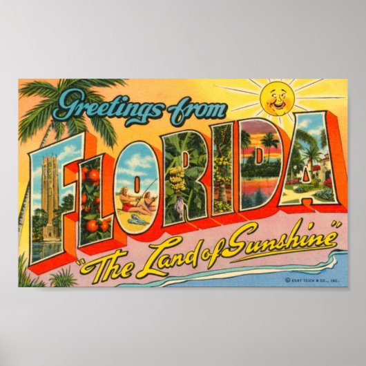 Groeten uit het Briefkaart van Florida Poster (Voorkant)