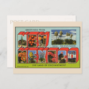 Groeten uit het Briefkaart van New Mexico