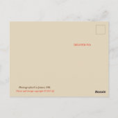 Groeten uit het Briefkaart van New Mexico (Achterkant)