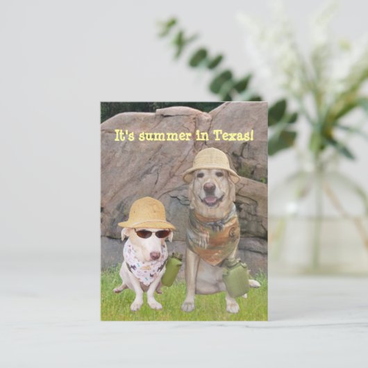 Groeten uit het hete Zuiden! Briefkaart (Staand voorkant)