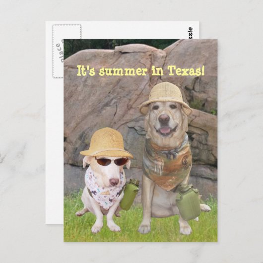 Groeten uit het hete Zuiden! Briefkaart (Voorkant / Achterkant)