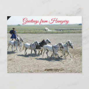 Groeten uit Hongarije Briefkaart