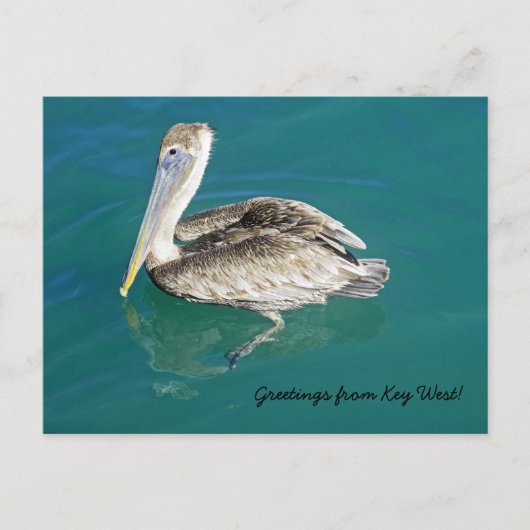 Groeten uit Key West briefkaart (Voorkant)