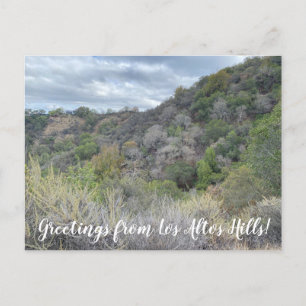 Groeten uit Los Altos Hills. Briefkaart