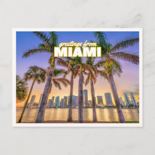 Groeten uit Miami Florida Retro Palmboom Foto Briefkaart