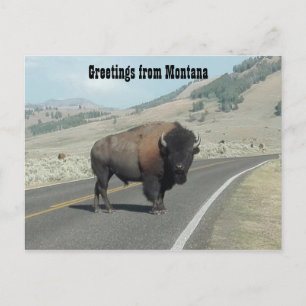 Groeten uit Montana Briefkaart