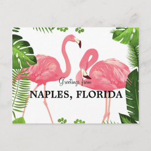 Groeten uit Napels, Briefkaart van Florida