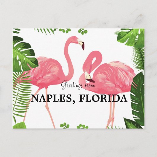 Groeten uit Napels, Briefkaart van Florida (Voorkant)