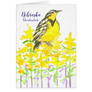 Groeten uit Nebraska Meadowlark Goldenrod