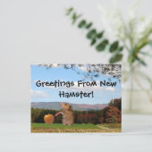 Groeten uit New Hamster!  Briefkaart (Staand voorkant)