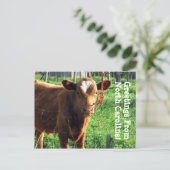 Groeten uit North Carolina! Briefkaart (Staand voorkant)