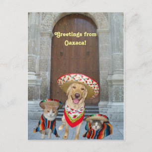 Groeten uit Oaxaca Briefkaart