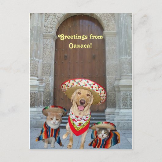 Groeten uit Oaxaca Briefkaart (Voorkant)