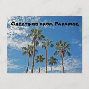 Groeten uit Paradise Palm Trees Blue Sky Island Briefkaart
