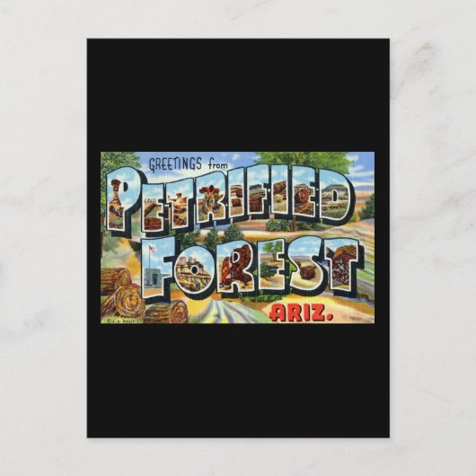 Groeten uit Petrified Forest Arizona Briefkaart (Voorkant)