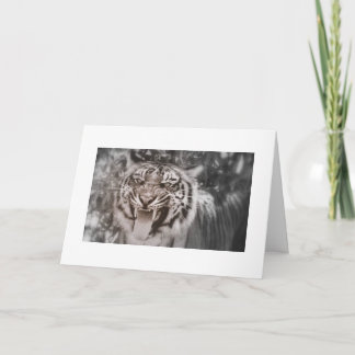 Groeten uit Pride Rock Kaart