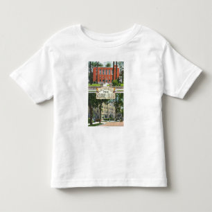 Groeten uit Skidmore College-scènes Kinder Shirts