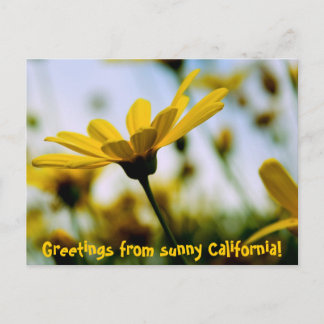 Groeten uit zonnig Californië! Briefkaart