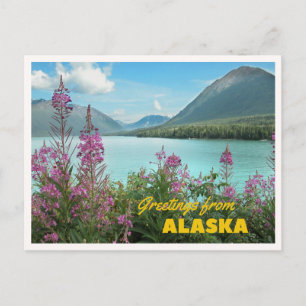 Groeten van Alaska Zomer Cruise Retro Groet Briefkaart