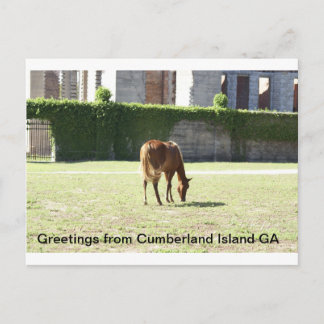 Groeten van Cumberland Island GA Briefkaart