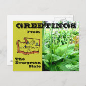 Groeten van de staat Washington Briefkaart (Voorkant / Achterkant)