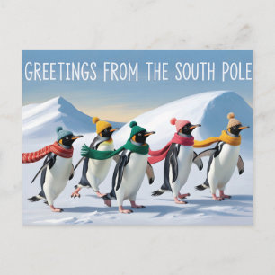 "Groeten van de Zuidpool" Pinguïnontwerp Briefkaart