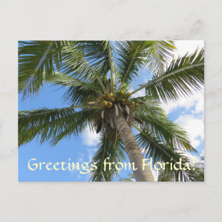 Groeten van FLorida/kokospalm Briefkaart