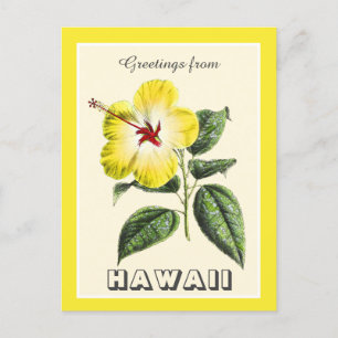  Groeten van Hawaii Yellow Hibiscus Briefkaart