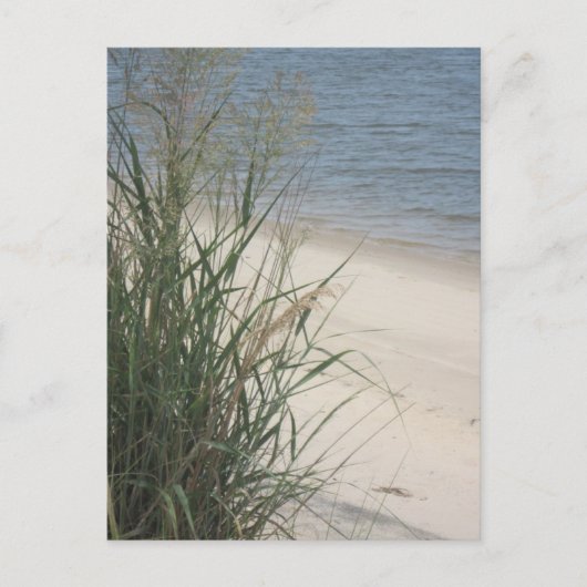 Groeten van het strand! briefkaart (Voorkant)