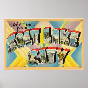  groeten van het zout meer in Utah Poster