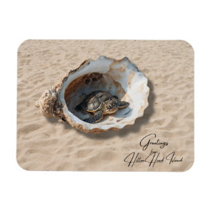 Groeten van Hilton Head Island Sea Turtle Magneet