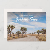 Groeten van Joshua Tree Briefkaart (Voorkant / Achterkant)