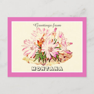  Groeten van Montana Bitterroot Briefkaart