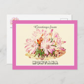 Groeten van Montana Bitterroot Briefkaart (Voorkant / Achterkant)