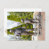 Groeten van Mount Airy, NC. Briefkaart (Voorkant / Achterkant)