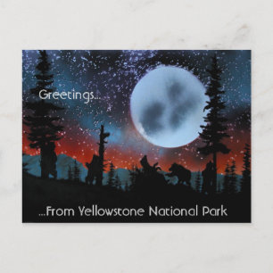Groeten ...... van Nationaal Park Yellowstone Briefkaart