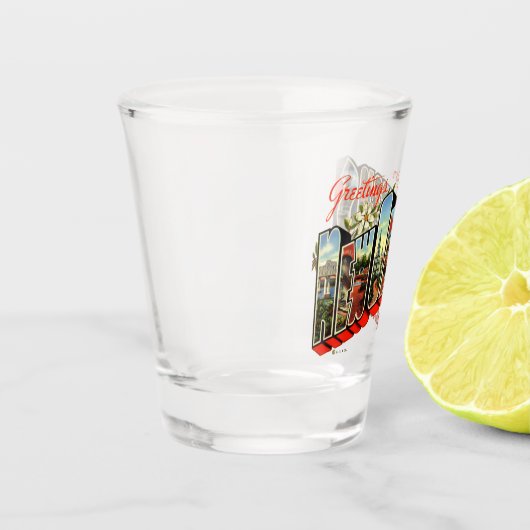 groeten van New Orleans Travel Briefkaart Shot Glas (Links)