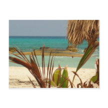 Groeten van Paradijs!