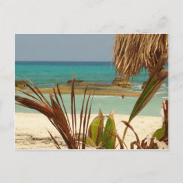 Groeten van Paradijs! Briefkaart