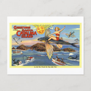  groeten van Santa Catalina Island Briefkaart