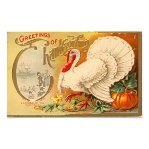Groeten van Thanksgiving White Turkey  Foto Afdruk