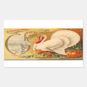 Groeten van Thanksgiving White Turkey Rechthoekige Sticker