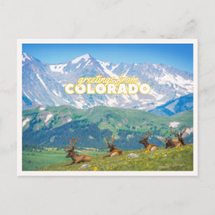 Groeten vanuit Colorado Berg Scène Foto Briefkaart