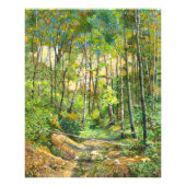 grof foto afdruk (Voorkant)