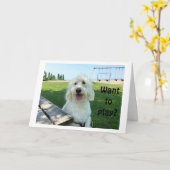 GROG TALKING DOG DIT VOUS VOULEZ JOUER ? CARTE D'A (Fleur jaune)