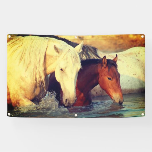 GROMMET VYNIL Banner (Horizontaal)