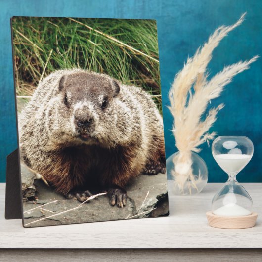 Grondhog Fotoplaat (Zijkant)