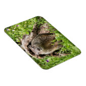 Grondhog in een Hollow Log Magneet (Rechterzijde)